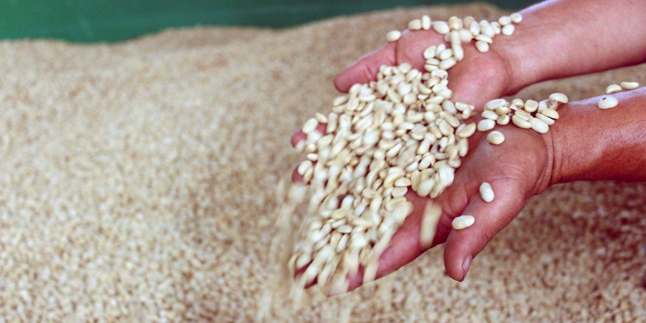 Apoyando la vida de las aves y las comunidades que habitan